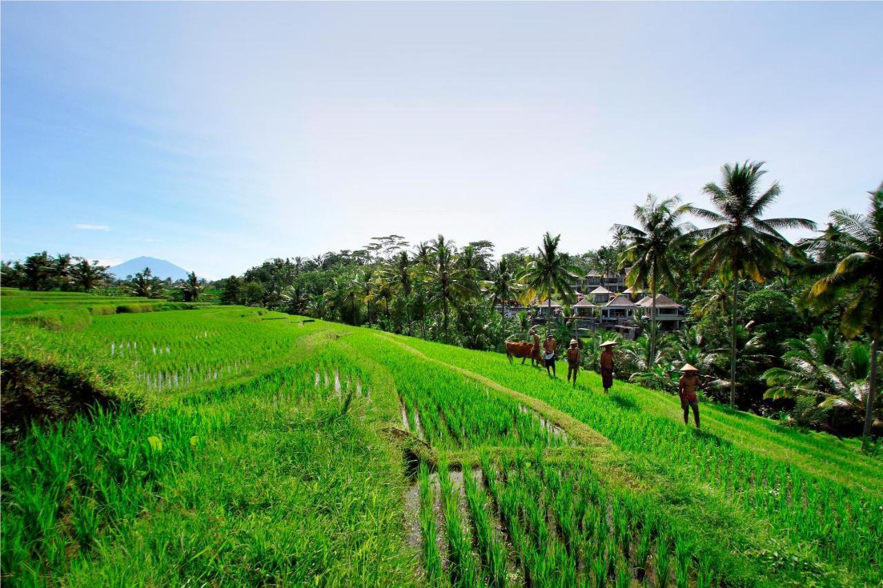 Puri Sebali Resort Ubud  Exterior photo
